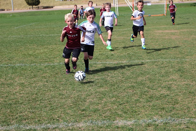 深圳队的整 深圳队的整