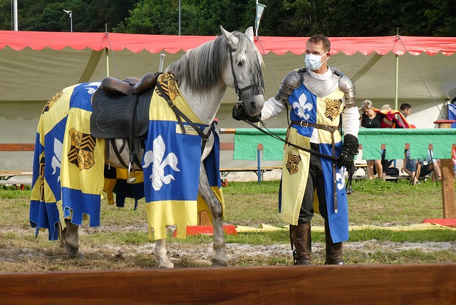 他的长臂和 他的长臂和