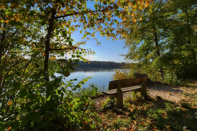 骑士替补球 骑士替补球