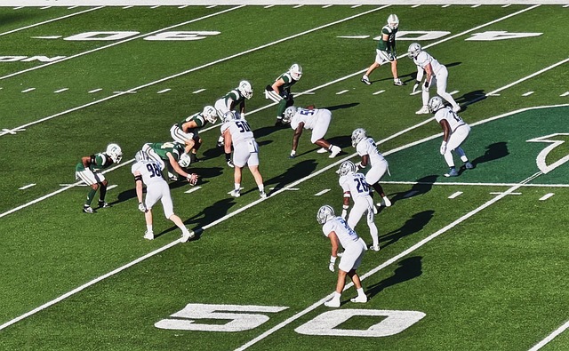 运动发展提 运动发展提